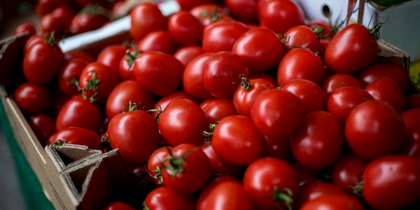 Cherry Tomatoes