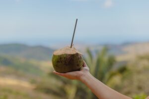 coconut costa rica yoga retreat
