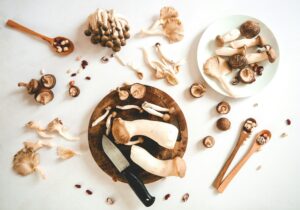 mushroom stroganoff recipe