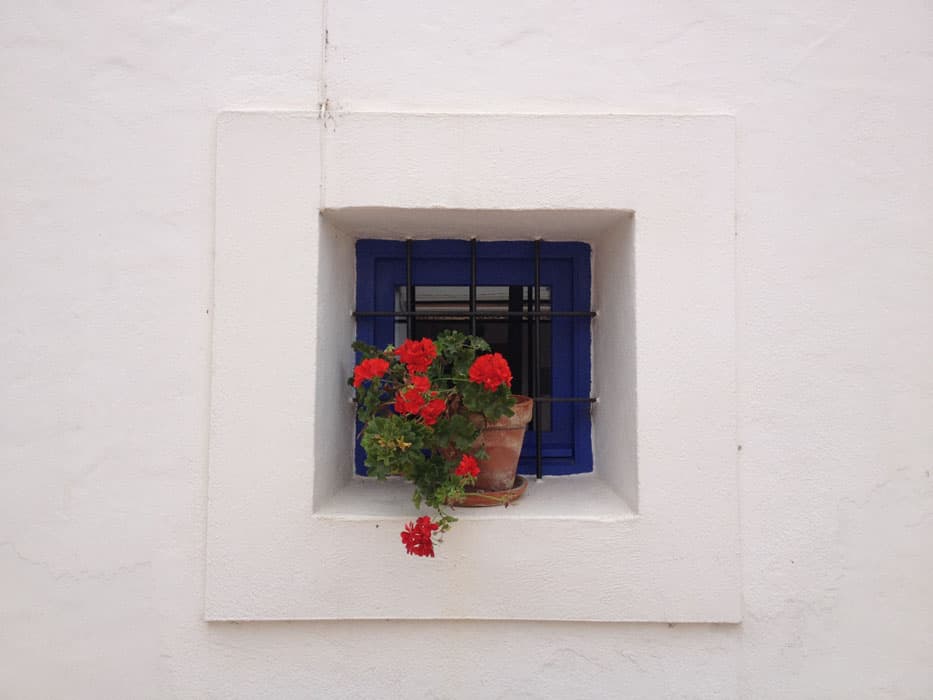 blue window wit white washed walls and red flowers ibiza