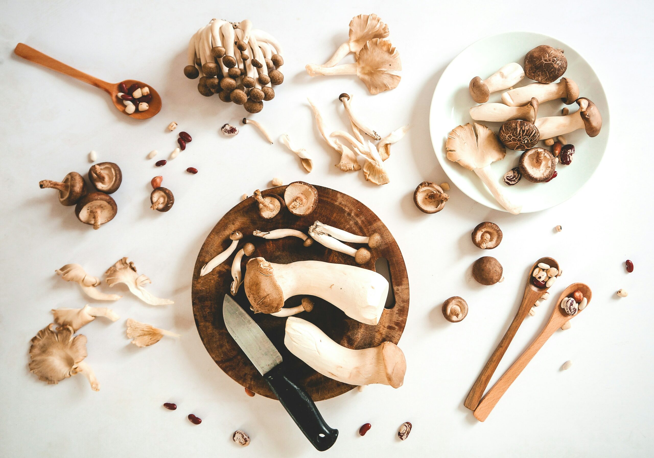 mushroom wellington recipe for christmas
