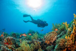 diving sea santorini recommendations