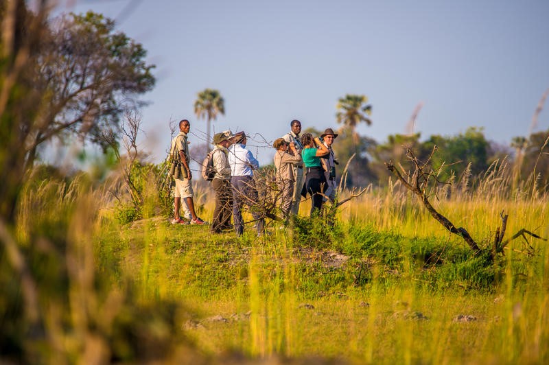 people walking on safari in bush safari and yoga holiday