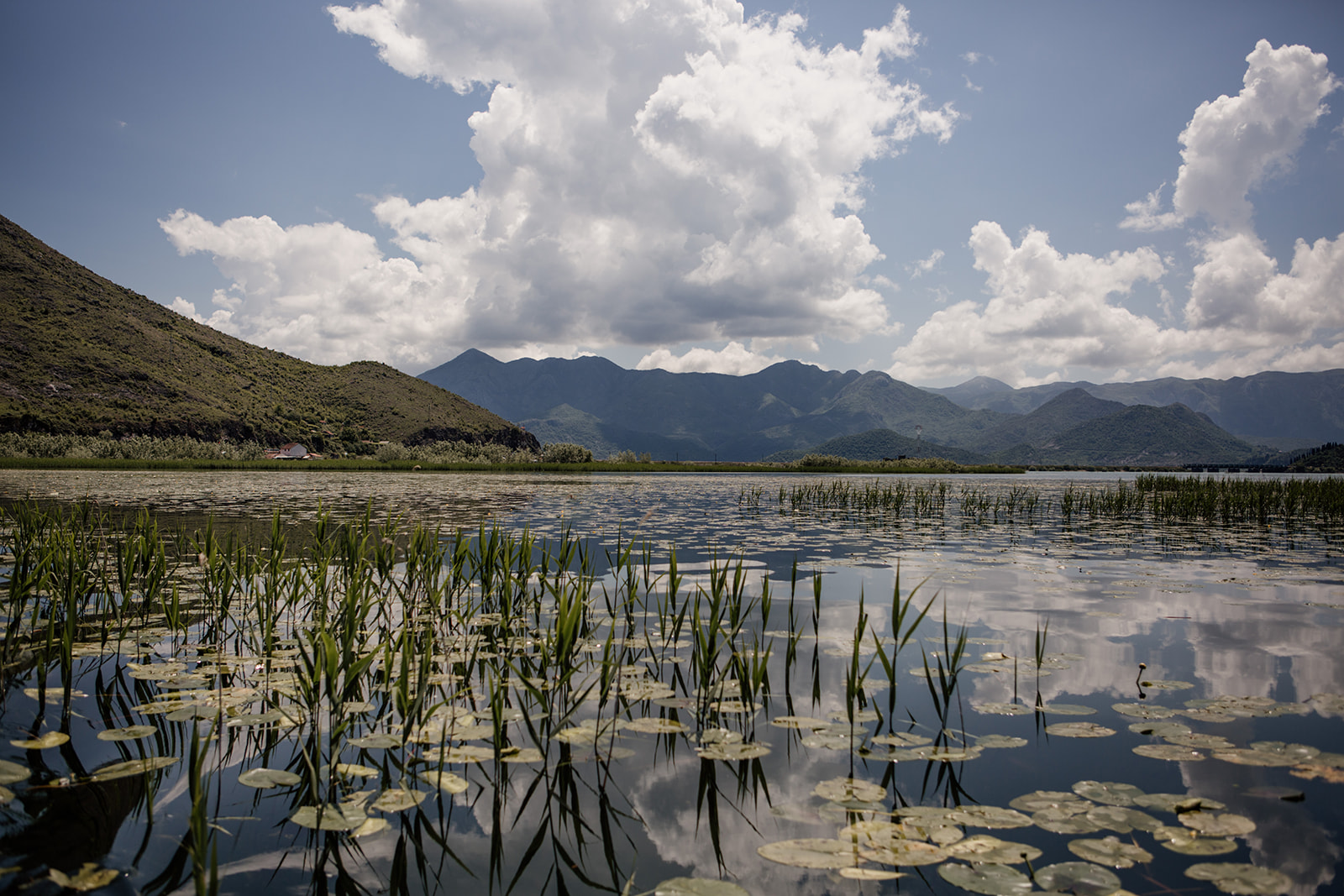 lake skadar lilies and mountains in distance yoga holiday montenegro
