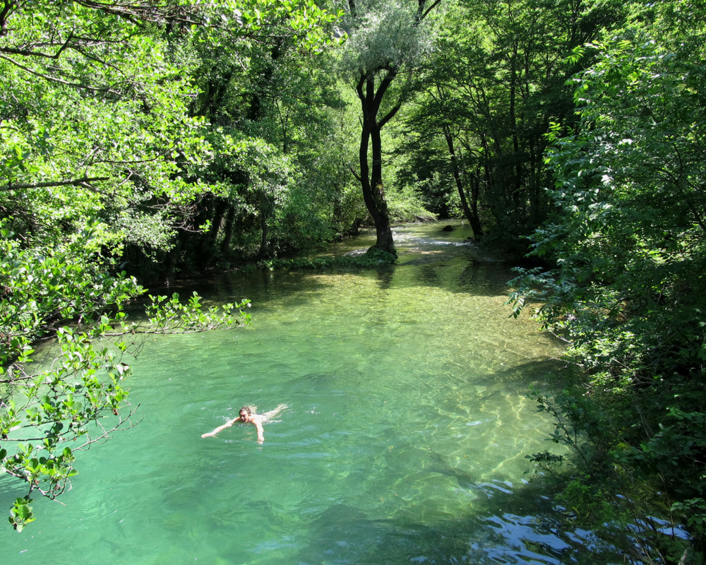 Swimmer in water surrounded by trees