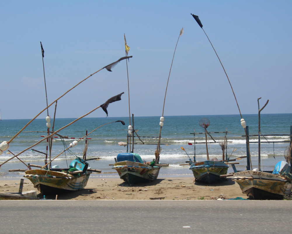 Sri Lankan boats on the shore