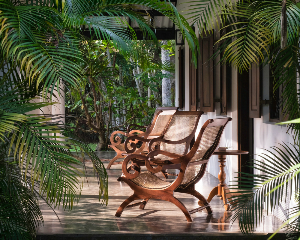Chairs and palm trees on veranda