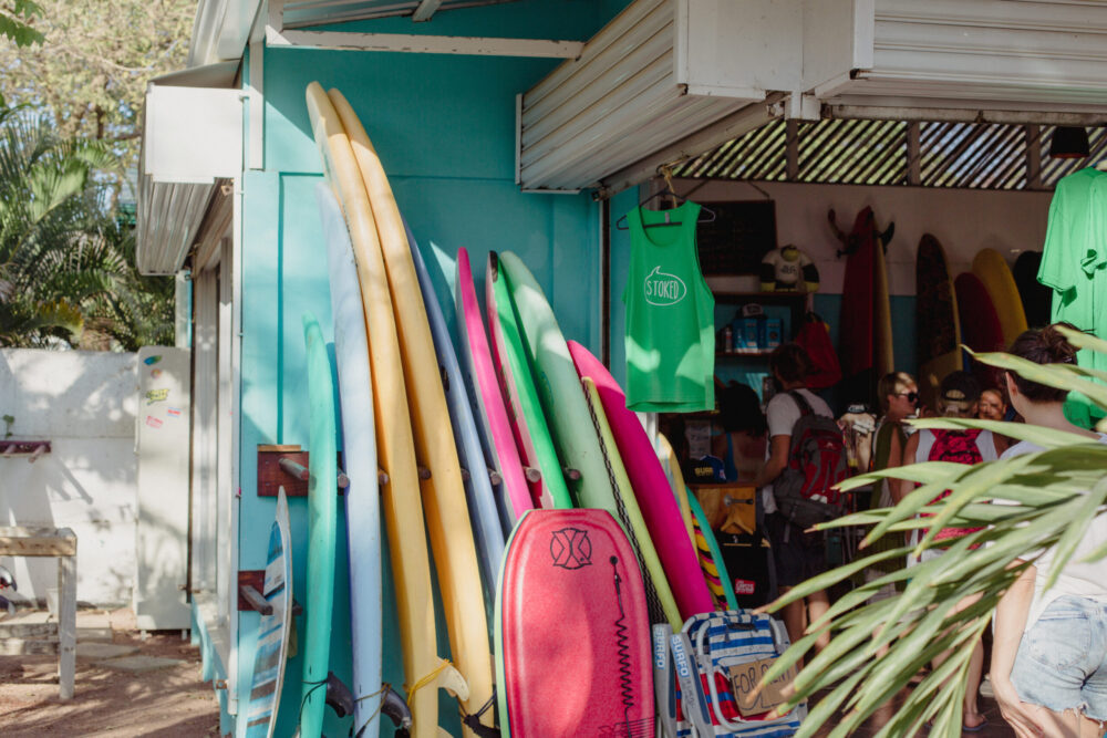 surfboards