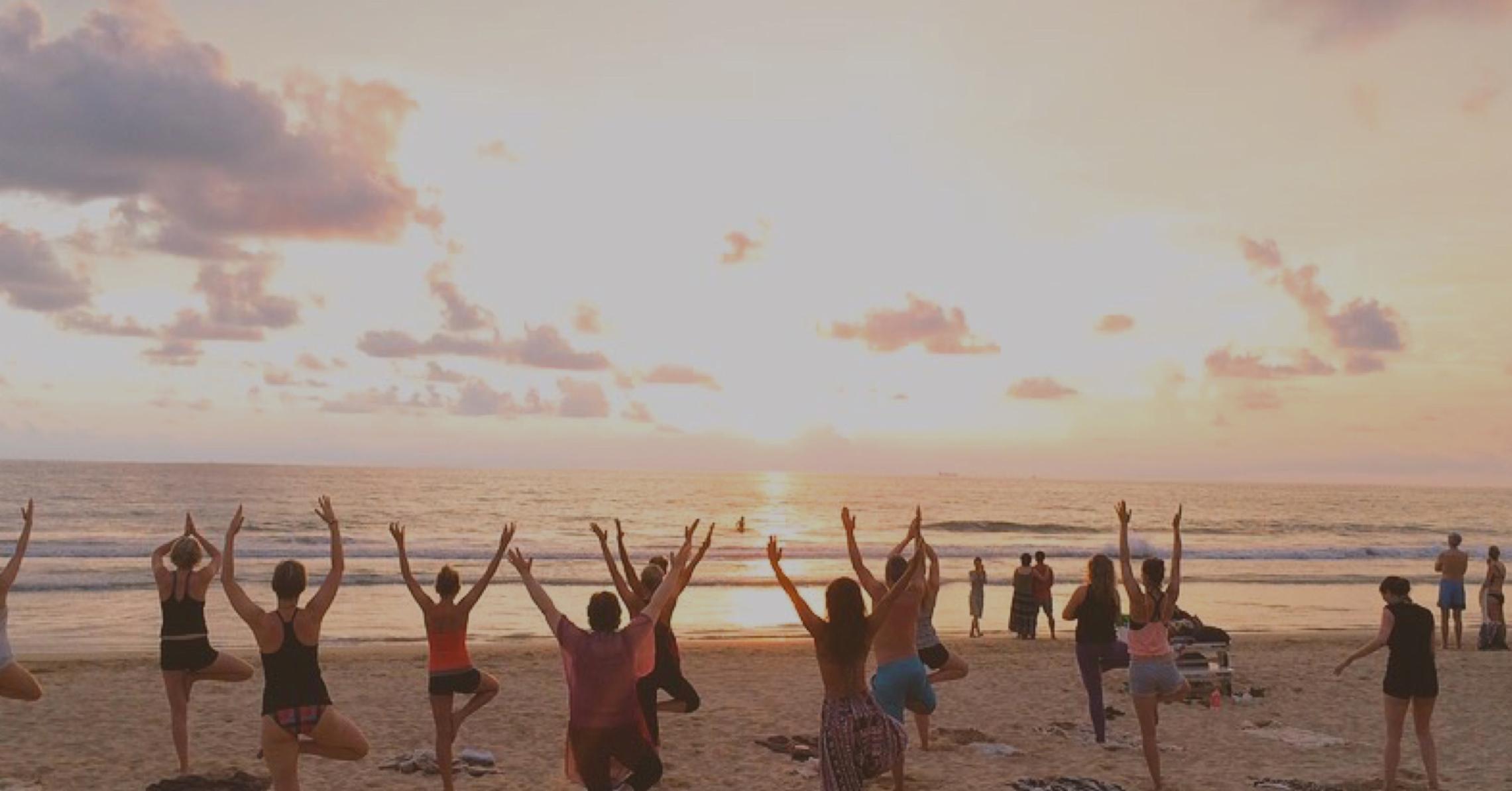 Pop-Up Yoga Sprouted Supper Evening | Adventure Yogi