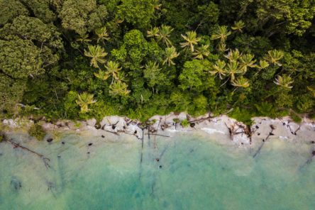 Costa Rica Yoga Holiday