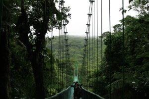 hanging bridges costa rica