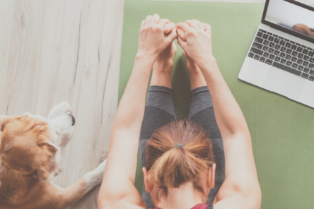 woman in forward fold on mat with mac and dog