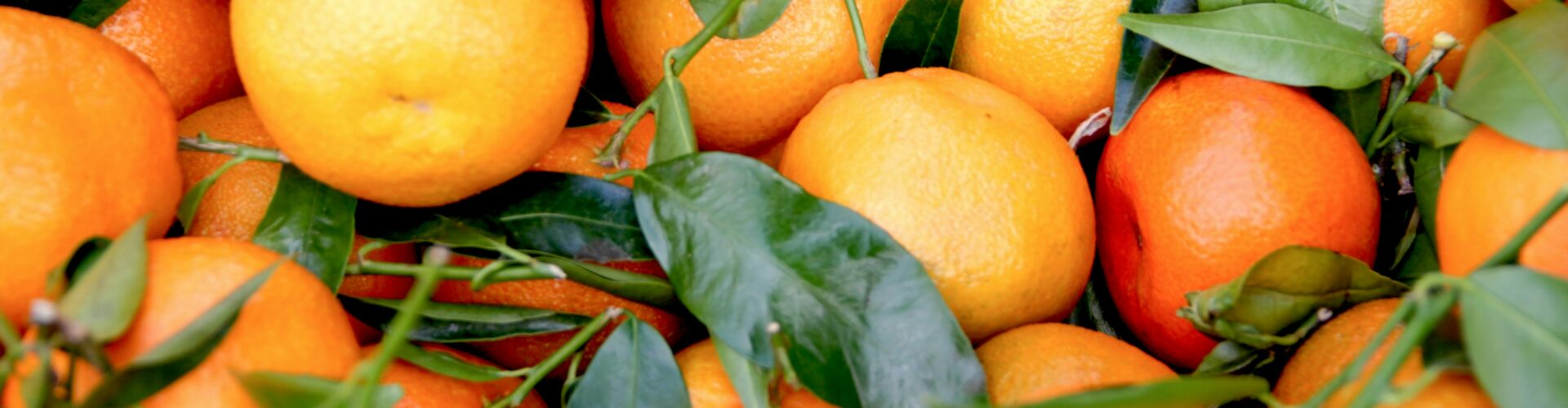 clementine recipe