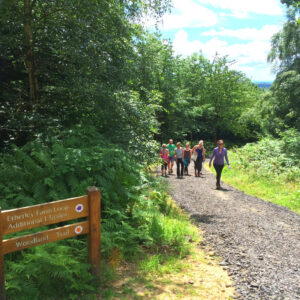 guests walking in woodland path eco yoga retreat surrey