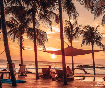 sunset-beach-palm-trees-sunbeds-people