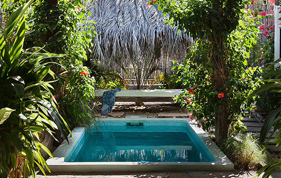 pool-bushes