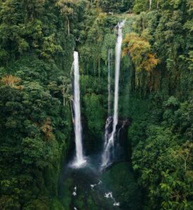 waterfalls within jungle in bali