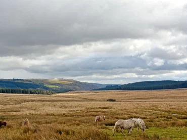 brecon beacons new year hiking yoga retreat