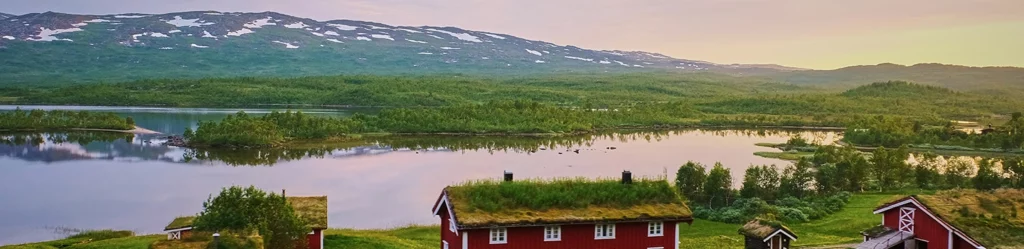 dron photo of sweden countryside with red houses